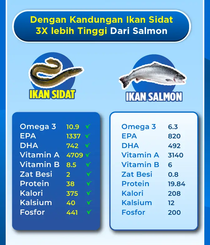 SidatxSalmon