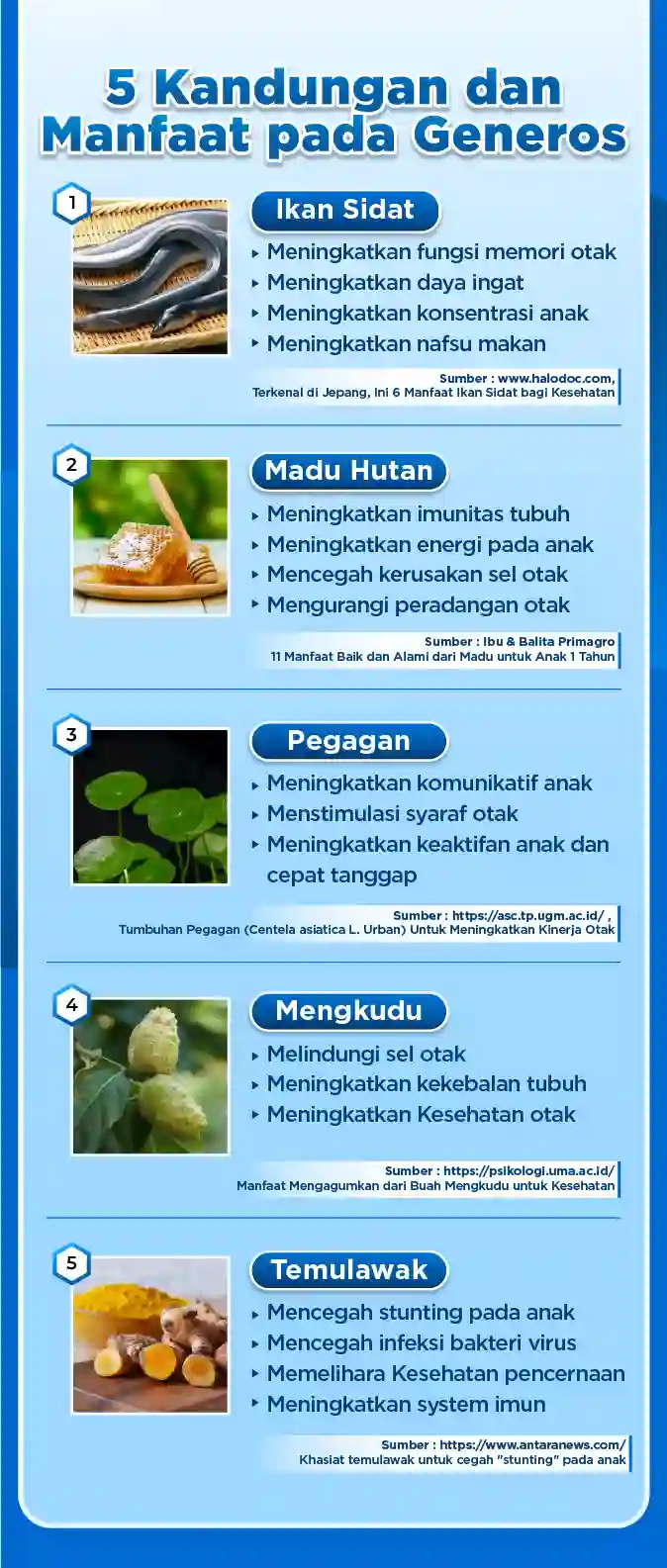 Kandungan